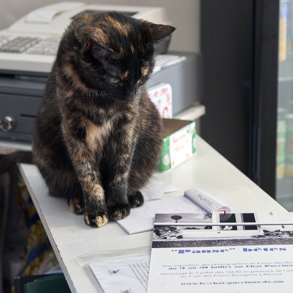 107002368_1169891700041871_29978099353138854_n