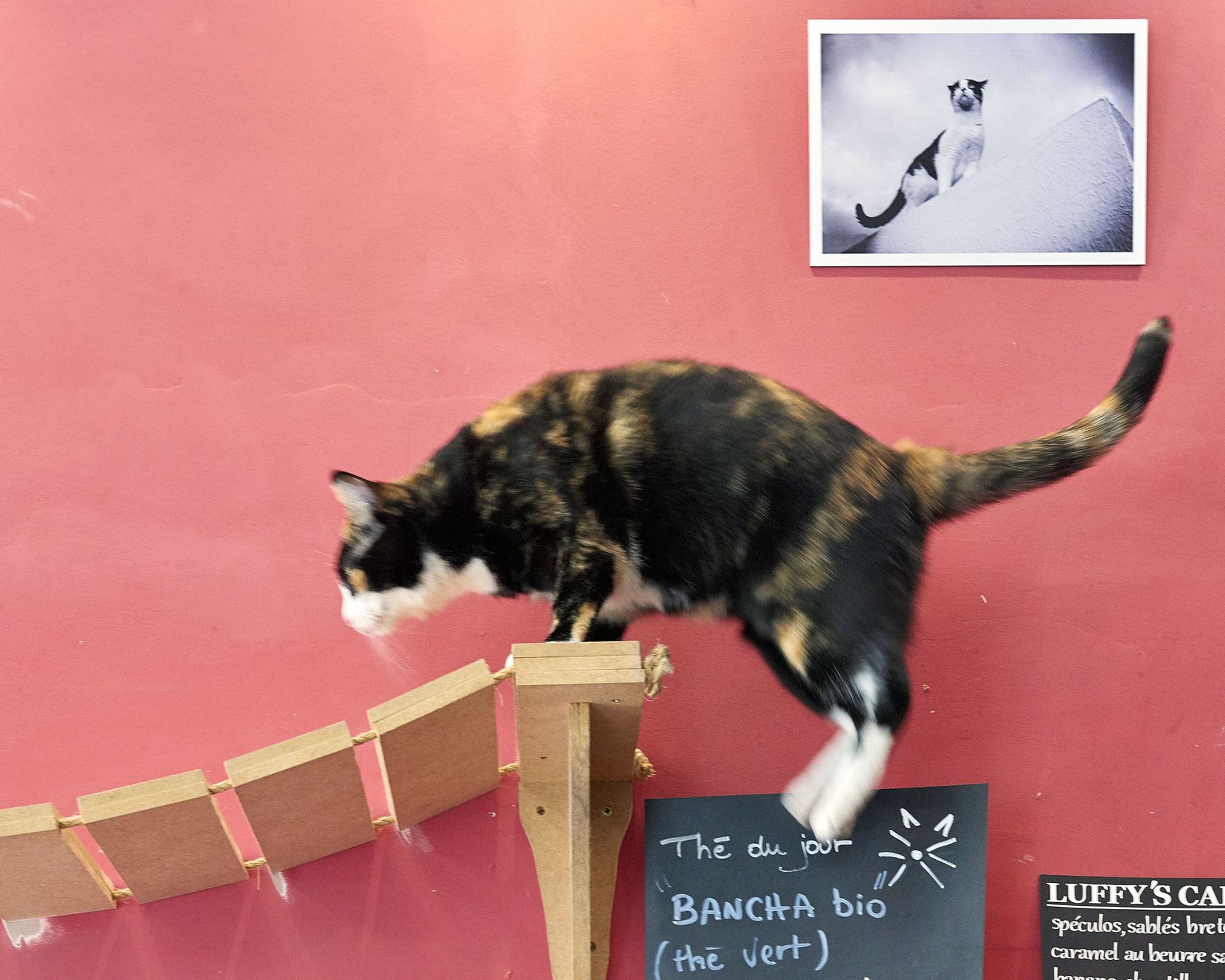 107338604_737134737107310_5331234991076032165_n